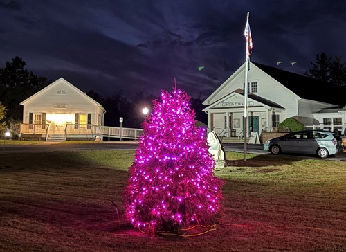 A tree with pink lights outside in the Town of Clinton, New York. 