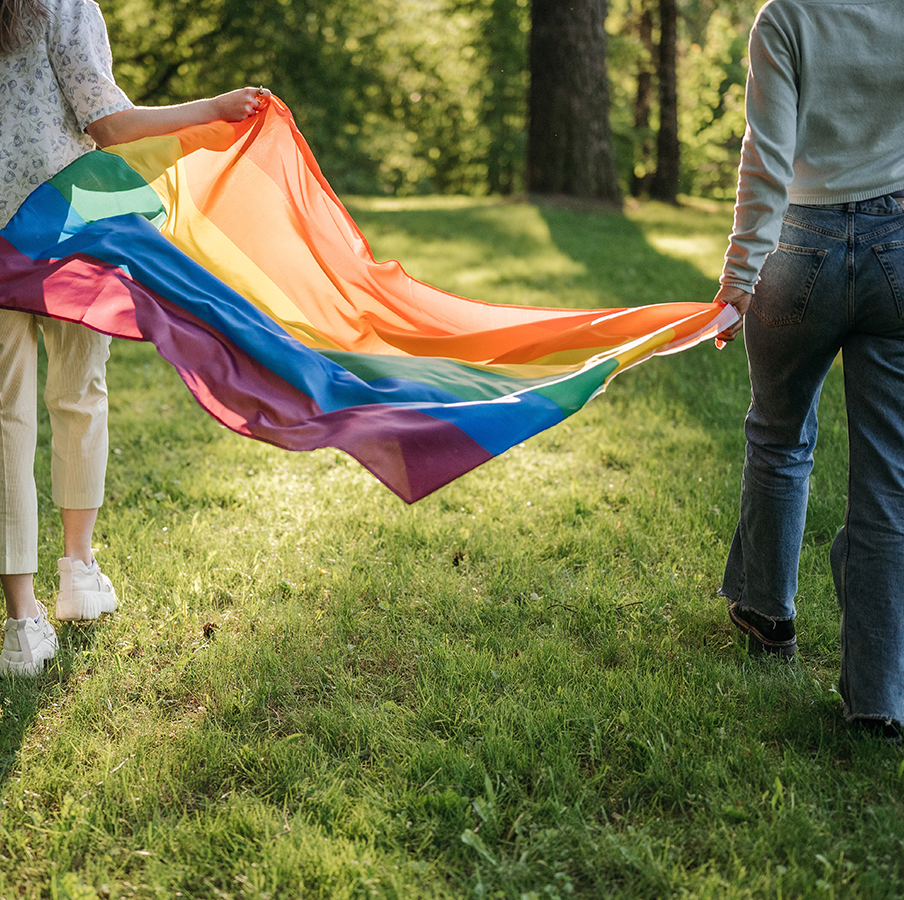 LGBTQIA Flag